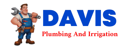 Trusted plumber in CASHTOWN